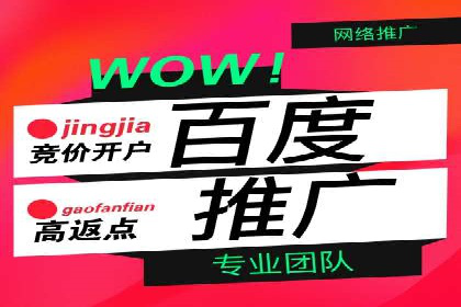 某公司通过百度竞价实现业务快速增长的案例