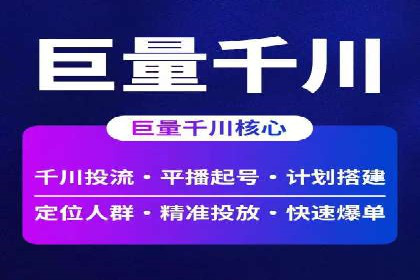Sem优化公司成功案例：快速占领市场